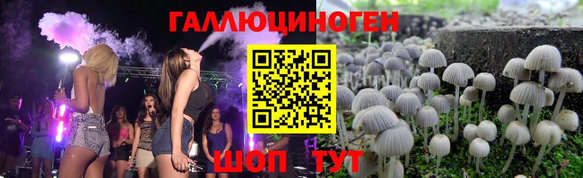 Галлюциногенные грибы MAGIC MUSHROOMS  Вход с VPN  Тимашёвск  Псилоцибиновые грибы прущие грибы 